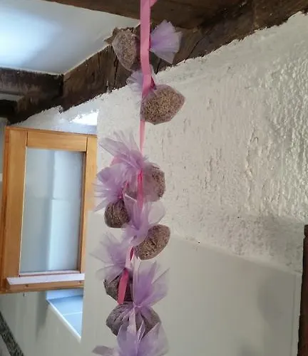 펜션 Iva 로브란